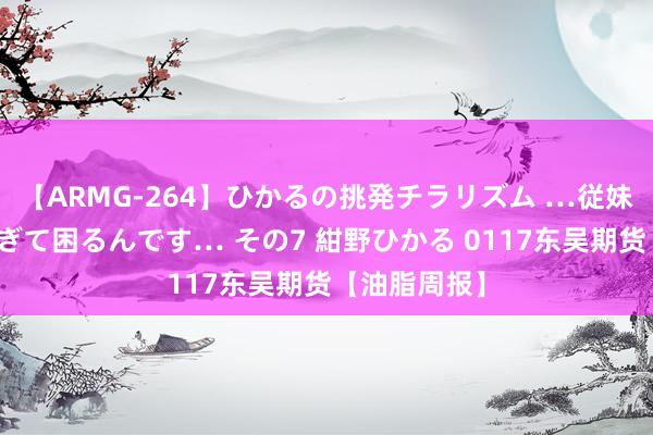 【ARMG-264】ひかるの挑発チラリズム …従妹が小悪魔すぎて困るんです… その7 紺野ひかる 0117东吴期货【油脂周报】