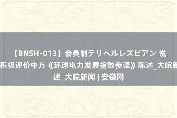 【BNSH-013】会員制デリヘルレズビアン 说合国等各方积极评价中方《环球电力发展指数参谋》陈述_大皖新闻 | 安徽网