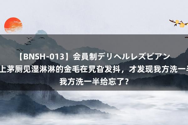 【BNSH-013】会員制デリヘルレズビアン 主东谈主上茅厕见湿淋淋的金毛在旯旮发抖，才发现我方洗一半给忘了？