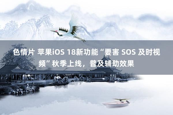 色情片 苹果iOS 18新功能“要害 SOS 及时视频”秋季上线，普及辅助效果