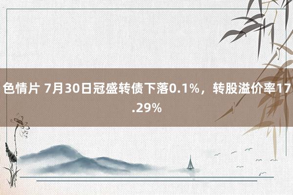 色情片 7月30日冠盛转债下落0.1%，转股溢价率17.29%