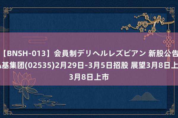 【BNSH-013】会員制デリヘルレズビアン 新股公告|泓基集团(02535)2月29日-3月5日招股 展望3月8日上市