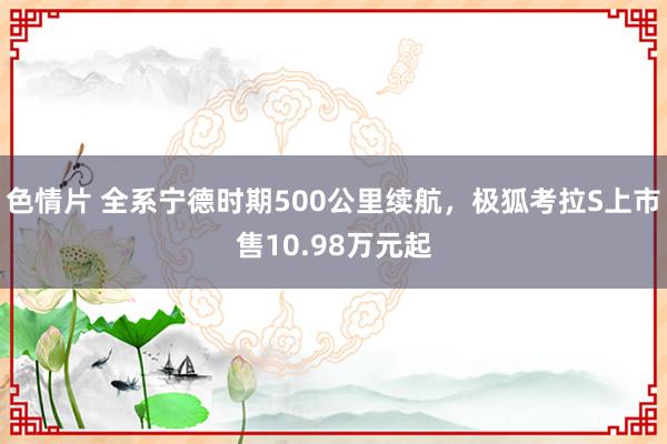 色情片 全系宁德时期500公里续航，极狐考拉S上市售10.98万元起