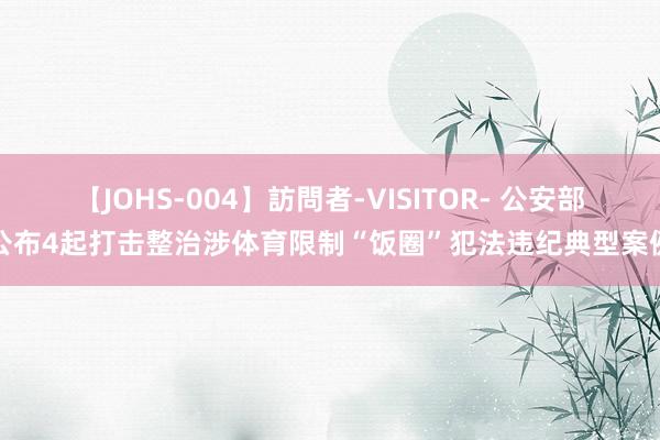 【JOHS-004】訪問者-VISITOR- 公安部公布4起打击整治涉体育限制“饭圈”犯法违纪典型案例