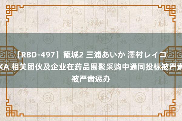 【RBD-497】籠城2 三浦あいか 澤村レイコ ASUKA 相关团伙及企业在药品围聚采购中通同投标被严肃惩办