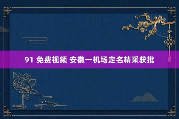 91 免费视频 安徽一机场定名精采获批