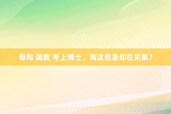 母狗 调教 考上博士，淘汰危急却在采集？