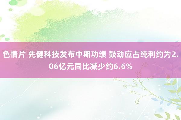 色情片 先健科技发布中期功绩 鼓动应占纯利约为2.06亿元同比减少约6.6%