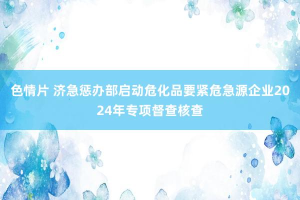 色情片 济急惩办部启动危化品要紧危急源企业2024年专项督查核查