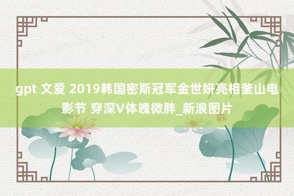 gpt 文爱 2019韩国密斯冠军金世妍亮相釜山电影节 穿深V体魄微胖_新浪图片