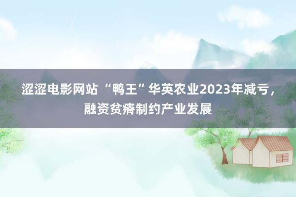 涩涩电影网站 “鸭王”华英农业2023年减亏，融资贫瘠制约产业发展