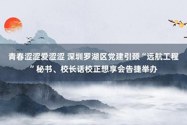 青春涩涩爱涩涩 深圳罗湖区党建引颈“远航工程”秘书、校长话校正想享会告捷举办