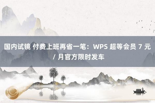 国内试镜 付费上班再省一笔：WPS 超等会员 7 元 / 月官方限时发车